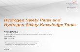 Hydrogen Safety Panel and Hydrogen Safety Knowledge Tools
