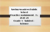 Spring Meadows Public School Practice Assignment - 1 ...