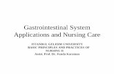 Gastrointestinal System Applications and Nursing Care