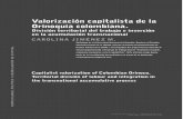 Valorización capitalista de la Orinoquia colombiana.