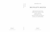 BIG PILOT 'S WATCH - IWC