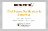 DNA Parent Verification & Genomics - Beefmaster