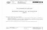 Raport anual de activitate 2017 L 544 - apdmgalati.ro