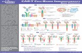CAR-T CELL-BASED IMMUNOTHERAPY BASIC PRINCIPLES