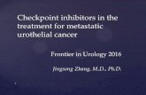 Checkpoint inhibitors in the treatment for metastatic ...