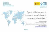 Oportunidades para la industria española en la ...
