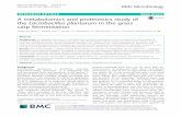 A metabolomics and proteomics study of the Lactobacillus ...