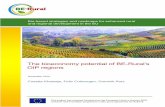 The bioeconomy potential of BE-Rural’s OIP regions