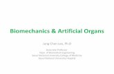 Biomechanics & Artificial Organs