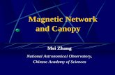 Magnetic Network and Canopy - Max Planck Society