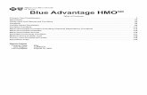 Blue Advantage HMO - BCBSTX