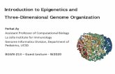 Introduction to Epigenetics and Three-Dimensional Genome ...