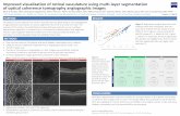 Improved visualization of retinal vasculature using multi ...