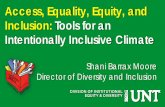Access, Equality, Equity, and Inclusion: Tools for an ...