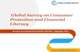 Global Survey on Consumer Protection and Financial Literacy