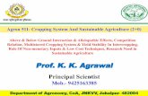 Prof. K. K. Agrawal - JNKVV