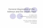 General diagnostics of the urinary tract