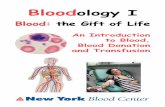 Bloodology I - .NET Framework