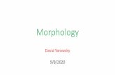 Morphology - jhu-intro-hlt.github.io