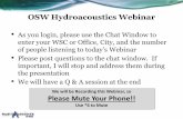 OSW Hydroacoustics Webinar