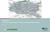 Exeter 2018 Canopy Cover Report - Urban Tree Cover