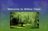 Welcome to Willow Class - WordPress.com