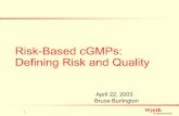 Risk-Based cGMPs: Defining Risk and Quality