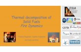 Thermal decomposition of Solid Fuels Fire Dynamics