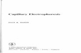 Capillary Electrophoresis - GBV