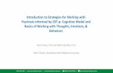 Introduction to Strategies for Working with Psychosis ...