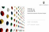 IIBA Beyond the boundaries of Business Analysis