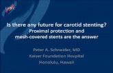 Is there any future for carotid stenting?