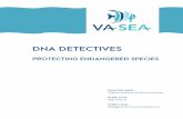 DNA DETECTIVES - vims.edu
