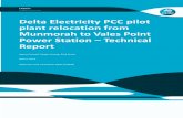 Delta Electricity PCC pilot plant relocation from Munmorah ...