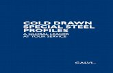 COLD DRAWN SPECIAL STEEL PROFILES - CALVI