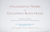 HOLOGRAPHIC PROBES