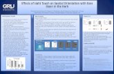 Effects of Light Touch on Spatial Orientation with Eyes ...