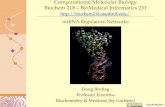 miRNA Regulatory Networks - biochem218.stanford.edu