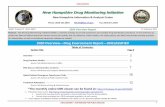 New Hampshire Drug Monitoring Initiative