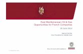 East Mediterranean Oil & Gas Opportunities for French ...