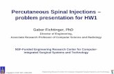 Percutaneous Spinal Injections – problem presentation for HW1