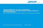 Appendices to the Habitats Regulations Assessment Site ...