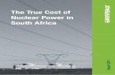 The True Cost of Nuclear Power in South Africa