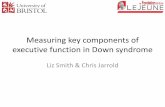 Measuring key components of executive function in Down ...