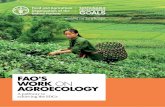 FAO'S WORK ON AGROECOLOGY