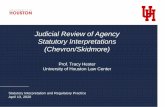 Judicial Review of Agency Statutory Interpretations ...
