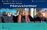 Crazy Hair Day - estella-p.schools.nsw.gov.au