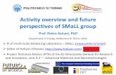 Activity overview and future perspectives of SMaLL group
