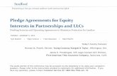 Pledge Agreements for Equity Interests in Partnerships and ...