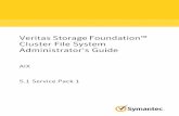 VeritasStorageFoundation Cluster File System Administrator ...